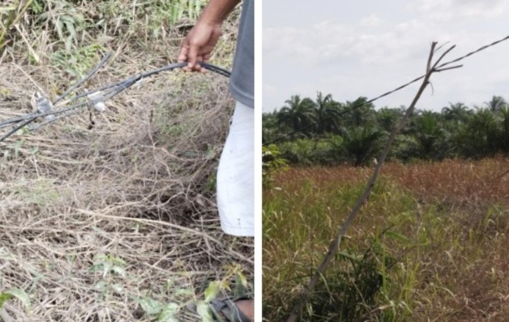 Kabel tegangan tinggi milik BUMD Tuah Sekata tergeletak bertahun-tahun di Jalan Koridor Km 8–10 (foto/Andy)